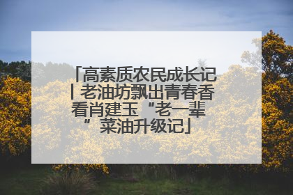高素质农民成长记丨老油坊飘出青春香 看肖建玉“老一辈”菜油升级记